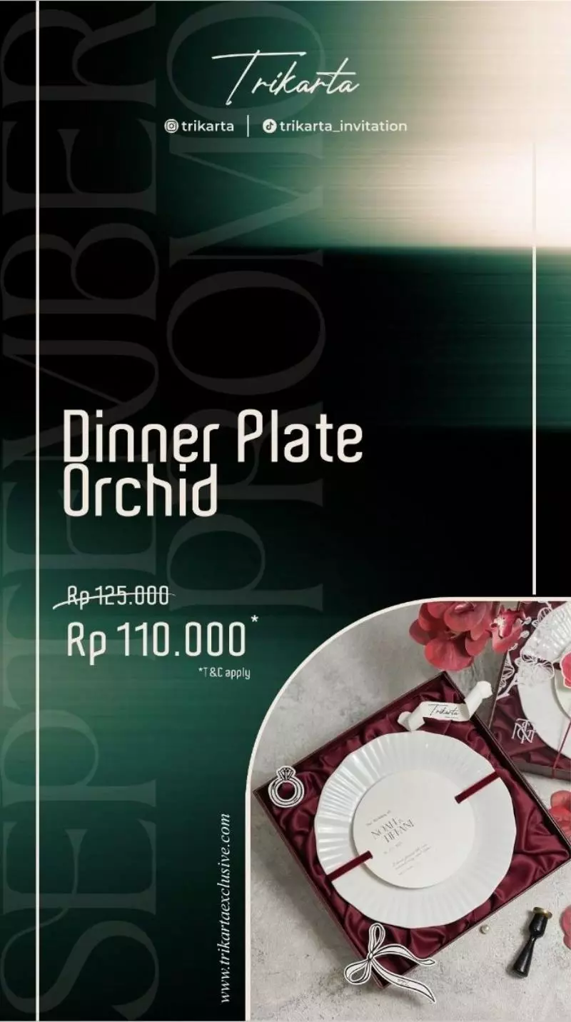 Dinner Plate Orchid