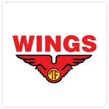 vendor souvenir wings corporate