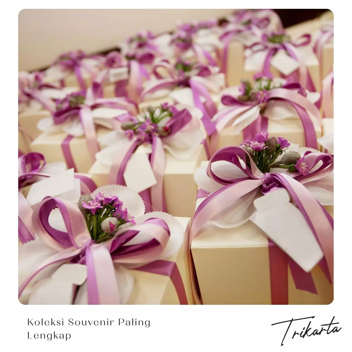 1. Koleksi Souvenir Paling Lengkap dan Terupdate 
