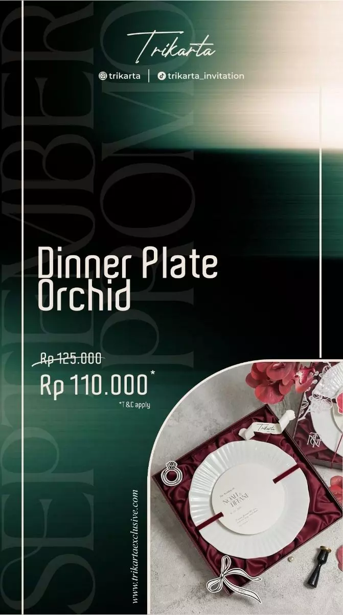 Dinner Plate Orchid
