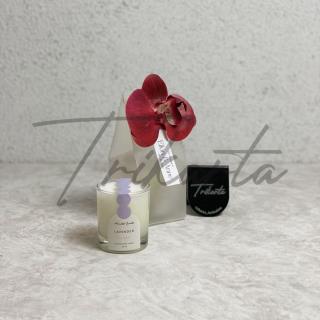 Lilin Aromatherapy EA
