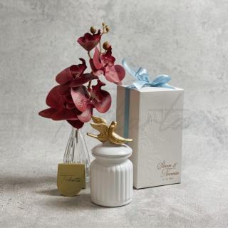 Toples Love Bird