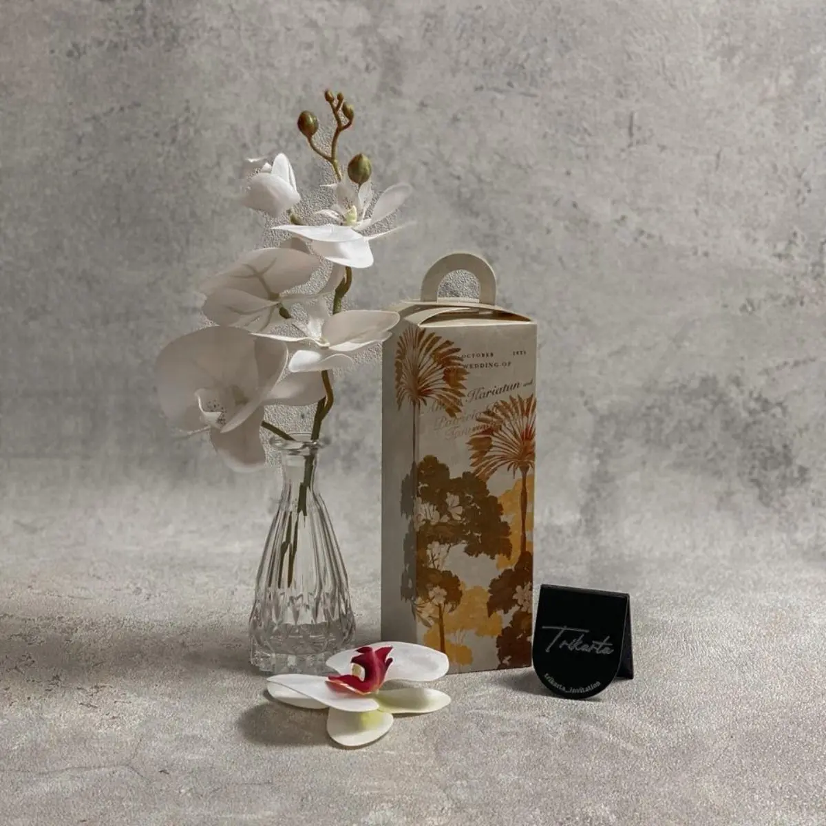 Softbox PF
